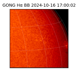 gong - 2024-10-16T17:00:02