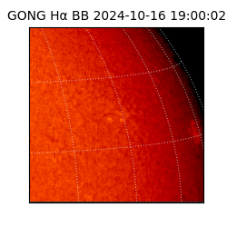 gong - 2024-10-16T19:00:02