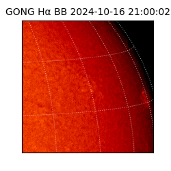 gong - 2024-10-16T21:00:02