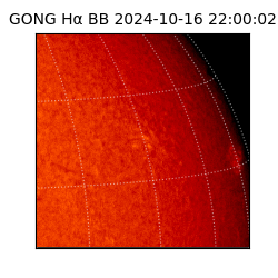 gong - 2024-10-16T22:00:02