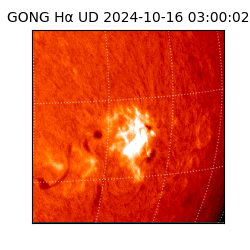 gong - 2024-10-16T03:00:02