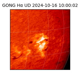 gong - 2024-10-16T10:00:02