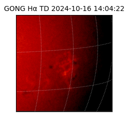 gong - 2024-10-16T14:04:22