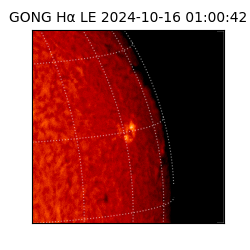 gong - 2024-10-16T01:00:42