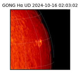 gong - 2024-10-16T02:03:02