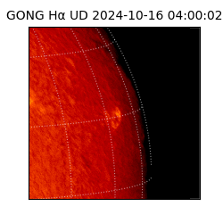 gong - 2024-10-16T04:00:02