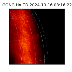 gong - 2024-10-16T08:16:22