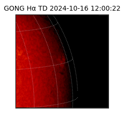 gong - 2024-10-16T12:00:22