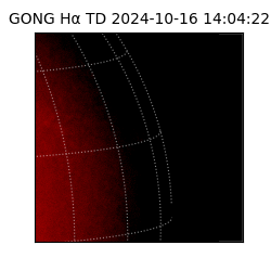 gong - 2024-10-16T14:04:22