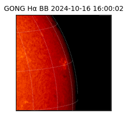 gong - 2024-10-16T16:00:02