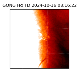 gong - 2024-10-16T08:16:22