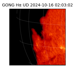 gong - 2024-10-16T02:03:02