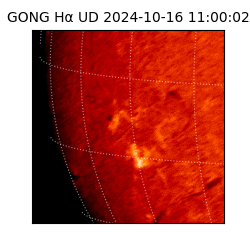 gong - 2024-10-16T11:00:02