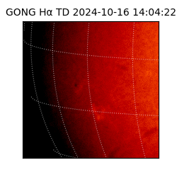 gong - 2024-10-16T14:04:22