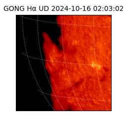 gong - 2024-10-16T02:03:02