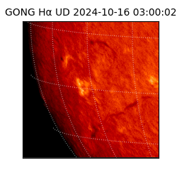 gong - 2024-10-16T03:00:02