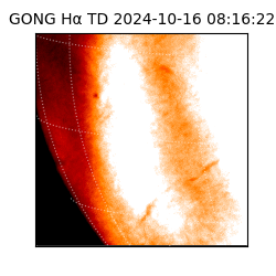 gong - 2024-10-16T08:16:22