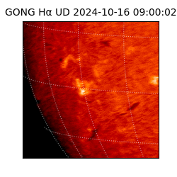 gong - 2024-10-16T09:00:02