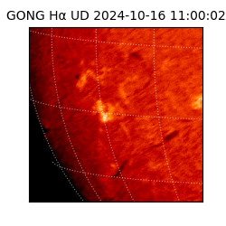 gong - 2024-10-16T11:00:02