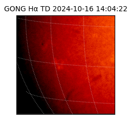 gong - 2024-10-16T14:04:22