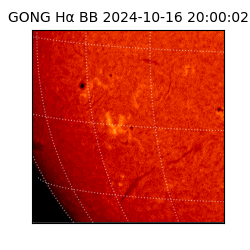 gong - 2024-10-16T20:00:02