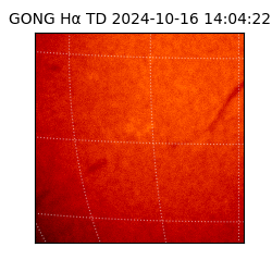 gong - 2024-10-16T14:04:22