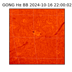 gong - 2024-10-16T22:00:02