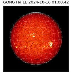 gong - 2024-10-16T01:00:42