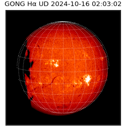 gong - 2024-10-16T02:03:02