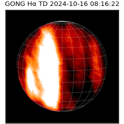 gong - 2024-10-16T08:16:22