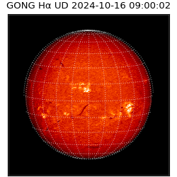 gong - 2024-10-16T09:00:02