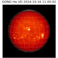 gong - 2024-10-16T11:00:02