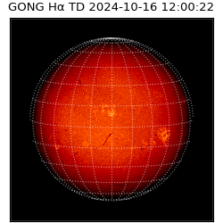 gong - 2024-10-16T12:00:22