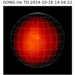 gong - 2024-10-16T14:04:22