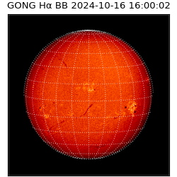 gong - 2024-10-16T16:00:02