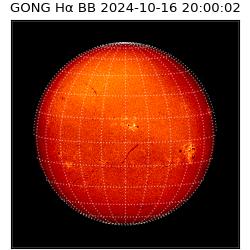 gong - 2024-10-16T20:00:02