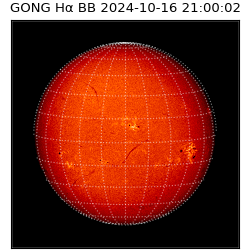 gong - 2024-10-16T21:00:02