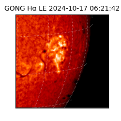 gong - 2024-10-17T06:21:42