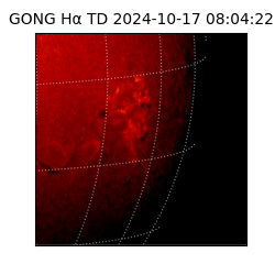 gong - 2024-10-17T08:04:22