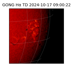 gong - 2024-10-17T09:00:22