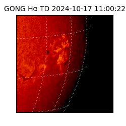 gong - 2024-10-17T11:00:22