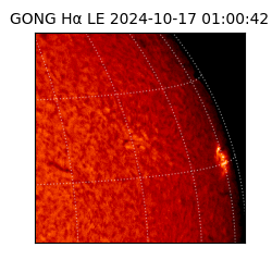 gong - 2024-10-17T01:00:42