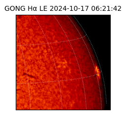 gong - 2024-10-17T06:21:42