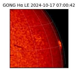 gong - 2024-10-17T07:00:42