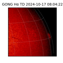 gong - 2024-10-17T08:04:22