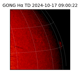 gong - 2024-10-17T09:00:22