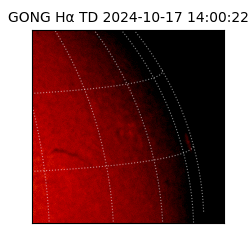 gong - 2024-10-17T14:00:22