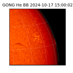 gong - 2024-10-17T15:00:02