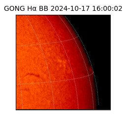 gong - 2024-10-17T16:00:02