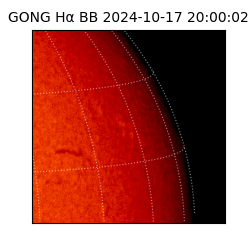 gong - 2024-10-17T20:00:02